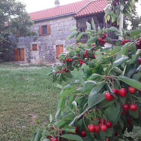 Vikendica Patakun For 5, With Heated Pool Lecevica