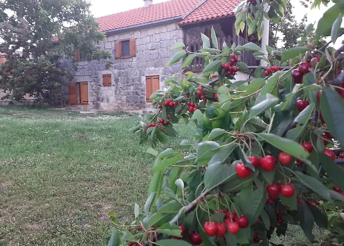 Semesterbostad Patakun For 5, With Heated Pool Lecevica